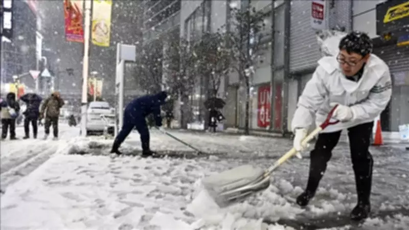 Japonya'da Şiddetli Kış Felaketi: Ölü Sayısı 46'ya Ulaştı, Yaralılar 558'i Buldu