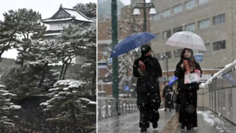 Japonya'da Kar Felaketi: 21 Günde 46 Can Kaybı, 558 Yaralı