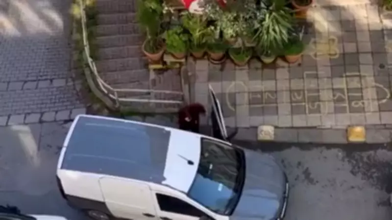 Kadıköy'de Park Yeri Kavgası: 'Burası Benim Evimin Önü' Diyerek Tartıştılar