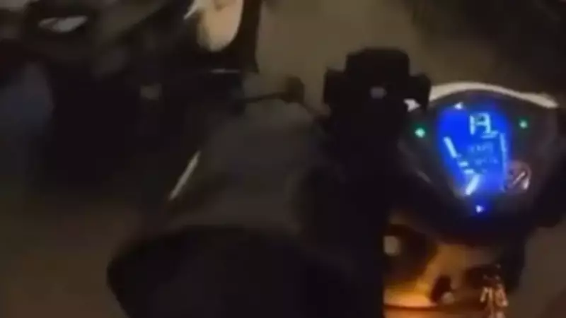 Kafede Akılalmaz Olay: Motosikletiyle Müşterilerin Arasından Geçti, Ehliyeti Elinden Alındı