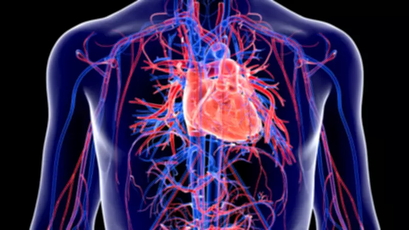 Kalp Ameliyatı Sonrası Kişilik Değişiklikleri Normal mi? Uzman Açıkladı