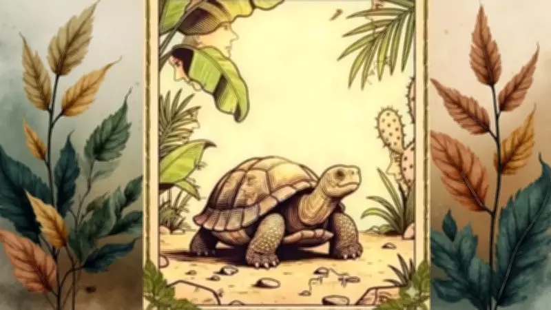 Kaplumbağa Görselinde Gizlenen Yüzler: Sosyal Medyanın Yeni İlüzyonu