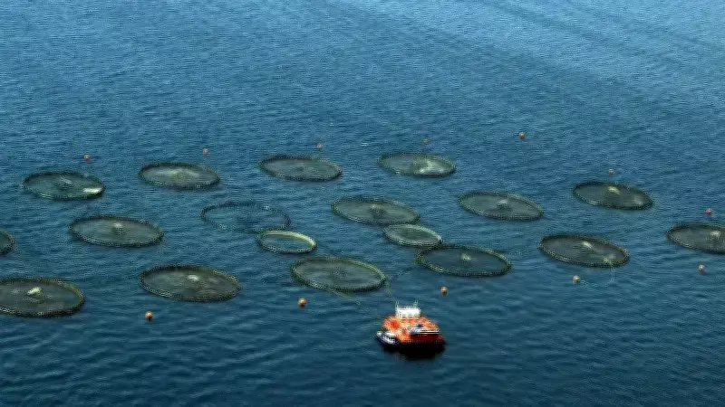 Karadeniz'den Su Ürünleri İhracatında Büyük Artış: 4 İlden 18 Ülkeye