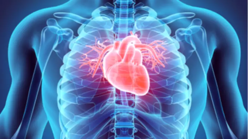 Kardiyoloji Uzmanı Uyardı: Tok Karnına Soğuk Havada Kalmak Kalp Krizini Tetikliyor