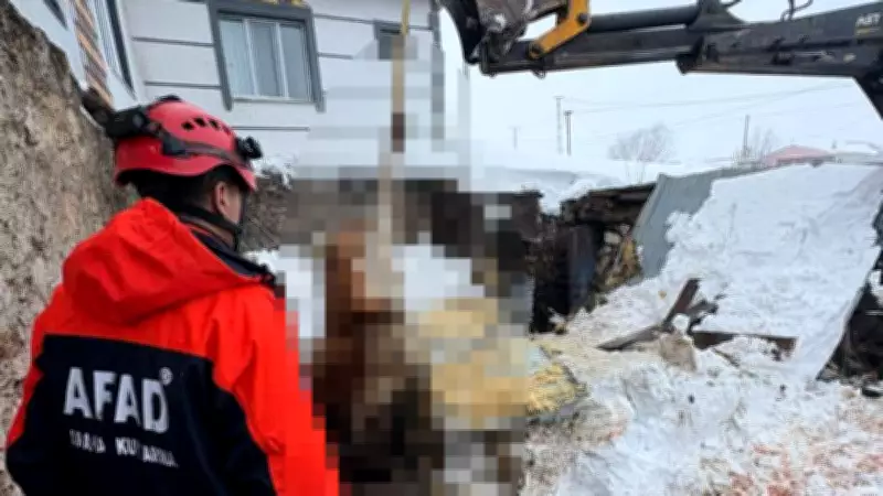 Kars'ta Kar Kütlesi İki Ahırı Yıktı: 4 Büyükbaş Hayvan Hayatını Kaybetti