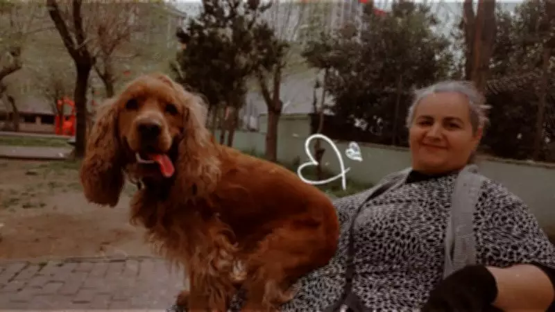 Kağıthane'deki Şüpheli Ölüm: Motosiklet Kazası Sonrası Taburcu Edilen Kadın Evinde Ölü Bulundu