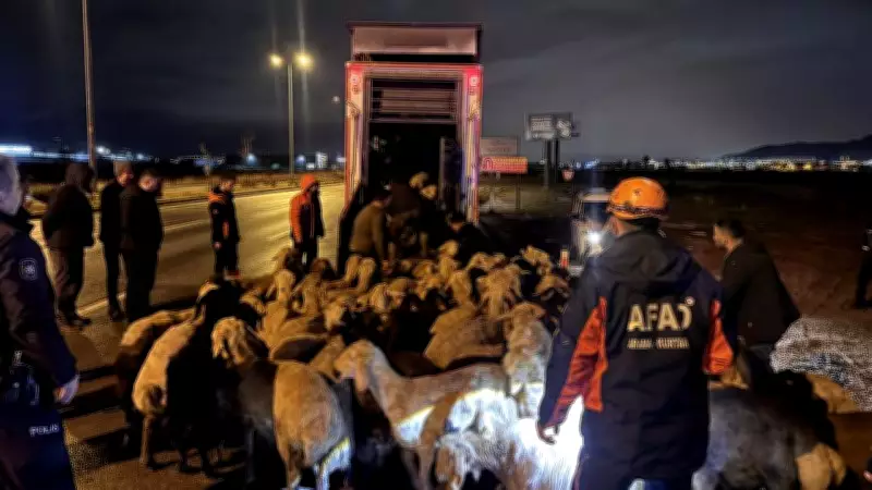 Kayseri'de Taşkın Riski: 200 Hayvan Güvenli Bölgeye Tahliye Edildi