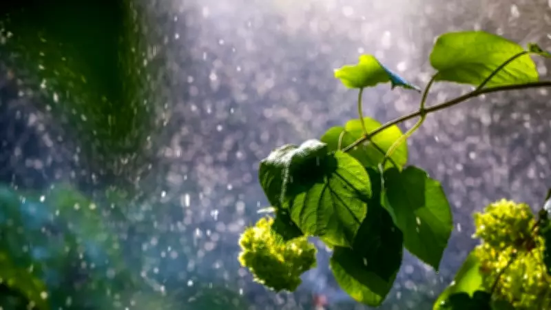 İkinci Cemre Ne Zaman Düşecek? 2026 Cemre Düşme Tarihleri Açıklandı