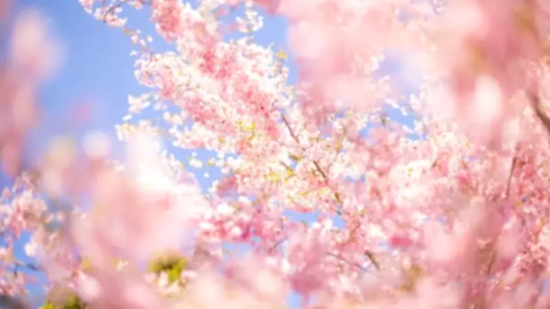 İkinci Cemre Ne Zaman Düşecek? 2026 Suya Cemre Tarihi Açıklandı