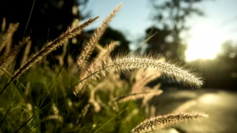 İkinci Cemre Suya Düşüyor: Baharın Müjdecisi İçin Geri Sayım Başladı