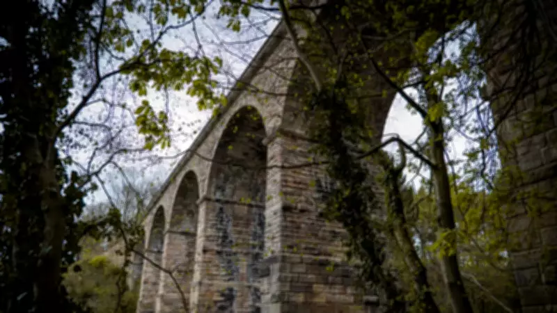 Köpekleri Hipnotize Eden Köprü: Overtoun'un Gizemi Bilim ve Efsaneler Arasında