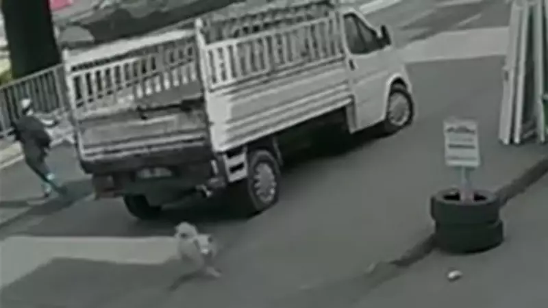 Köpekten Kaçarken Otobüsün Çarptığı Genç Hayatını Kaybetti