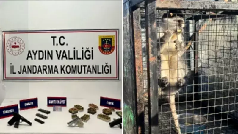 Kuşadası'nda Operasyon: Ruhsatsız Silahlar ve Vervet Maymunu Ele Geçirildi