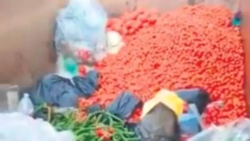 Kumluca'da Taze Sebzeler Çöpe Atıldı: İsraf Görüntüleri Büyük Tepki Çekti