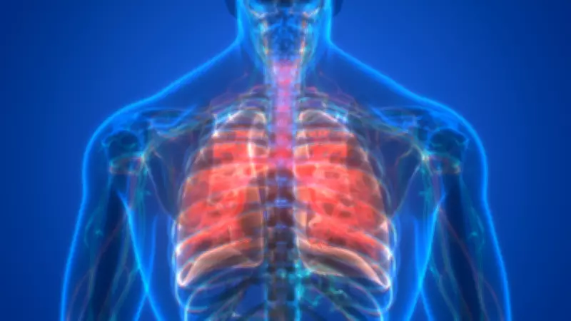 Çöl Tozu Alarmı: Marmara Bölgesi'nde Sağlık Riski Yükseliyor