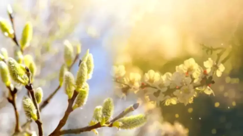 İlk Cemre Havaya Düştü! İkinci Cemre Ne Zaman ve Nereye Düşecek?