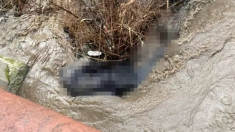 Lüleburgaz'da Dere Yatağında Cansız Beden Bulundu: Soruşturma Başlatıldı
