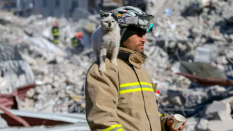 Mardinli İtfaiyeci, Depremden Kurtardığı Kedi ile Dostluğunu Kitap Haline Getirdi