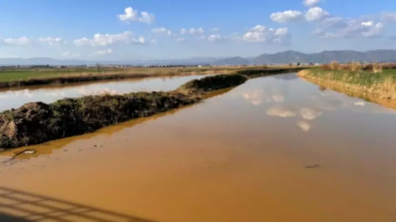 Menderes Nehri Taştı: Aydın'da 2 Bin Dönüm Tarım Arazisi Sular Altında Kaldı