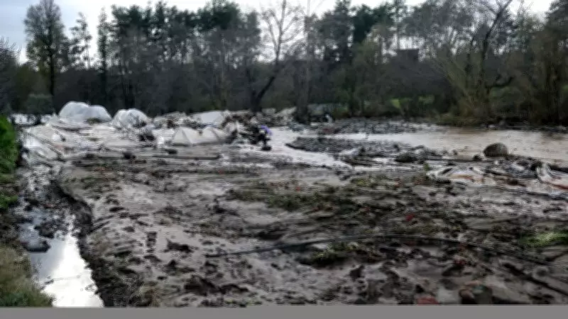 Muğla'da Sel Felaketi: 5.773 Dekar Tarım Arazisi ve 550 Dekar Sera Zarar Gördü