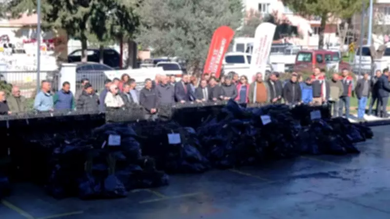 Muğla'da Tarıma Büyük Destek: 8 İlçede 50 Bin Üzümsü Meyve Fidanı Toprakla Buluştu