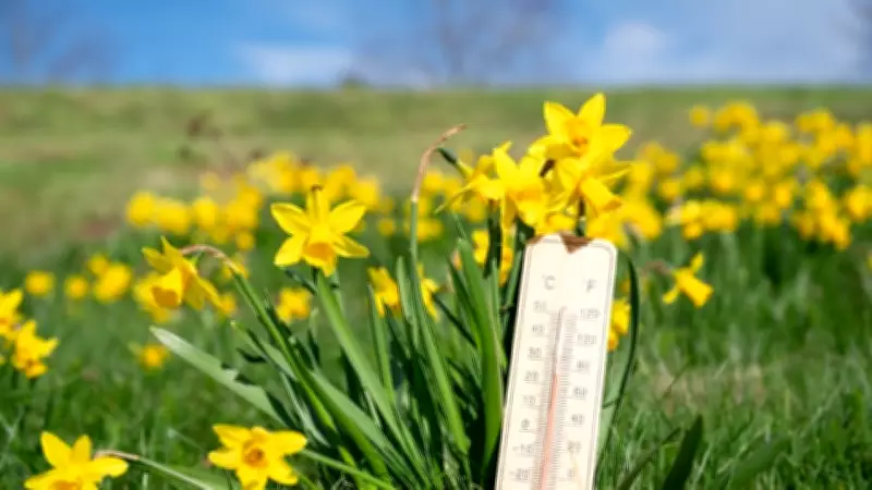 Üçüncü Cemre 2026'da Toprağa Düşecek: Baharın Gelişi Yaklaşıyor