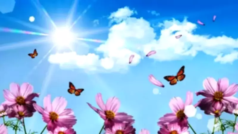 Nevruz Bayramı 2026: Baharın Müjdecisi ve Köklü Gelenekler