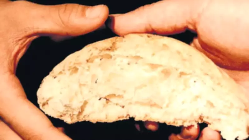 Nihat Hatipoğlu: Cömertlik Cennete Götüren Bir Ağaçtır