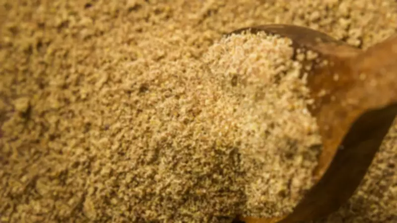 Ünlülerin Gençlik Sırrı: Kahvenize Ekleyeceğiniz 1 Kaşık Mucize Tohum