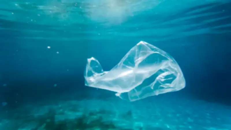 Okyanusları Kurtaracak Buluş: Denizde Saatler İçinde Yok Olan Plastik