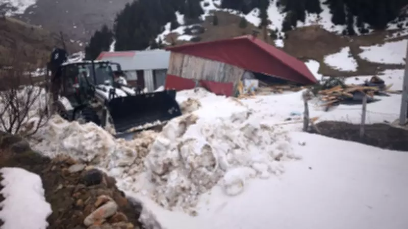 Ordu'da Çığ Felaketi: Maden Obası'nda Ahşap Ev Yıkıldı, Can Kaybı Yok