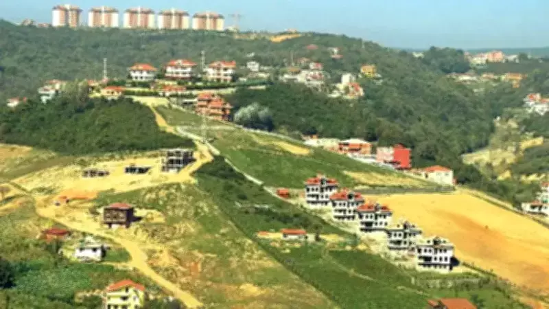 Orman Vasfını Yitirmiş Arazilerde Tapu Sorununa Kalıcı Çözüm Geliyor