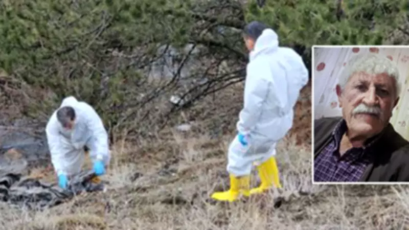 Çorum'da Kayıp Yaşlı Adamın Parçalanmış Cesedi Bulundu, Baş Kısmı Aranıyor