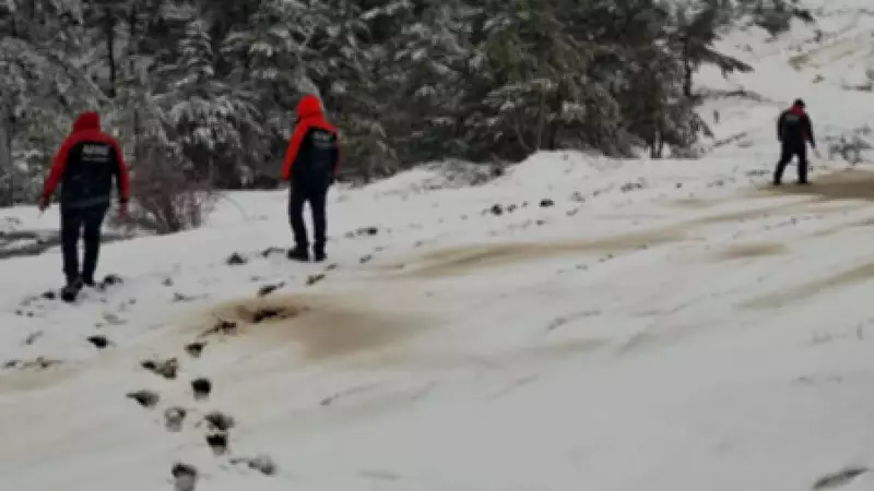 Çorum'da Komşu Cinayeti: 76 Yaşındaki Adam 6 Parçaya Ayrılıp Dere Yatağına Atıldı