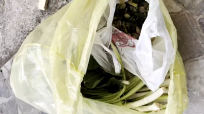 Pazar Tezgahındaki Zehirli Tuzak: Pazı Sanılan Tirşik Otu Doktoru Ölümden Döndürdü