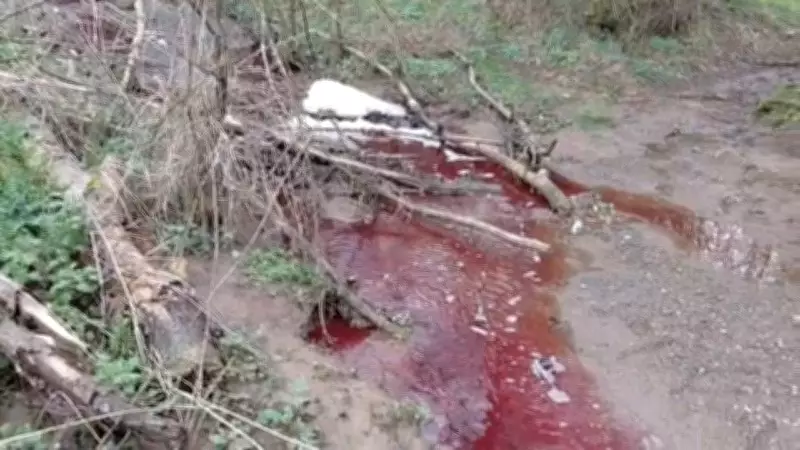 Pendik'te Ömerli Barajı'na Kırmızı ve Köpüklü Su Akışı Endişe Yarattı