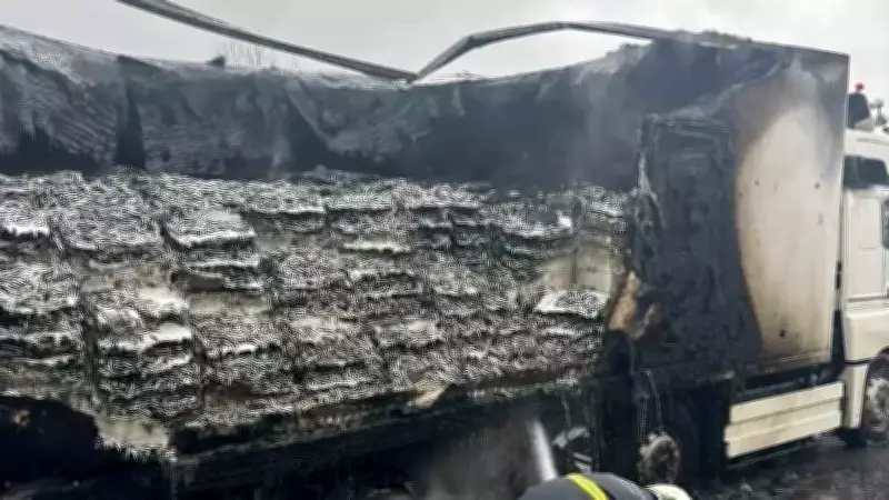 Pınarhisar'da Hamsi Yüklü Tır Alevlere Teslim Oldu, Dorsesi Kullanılmaz Hale Geldi