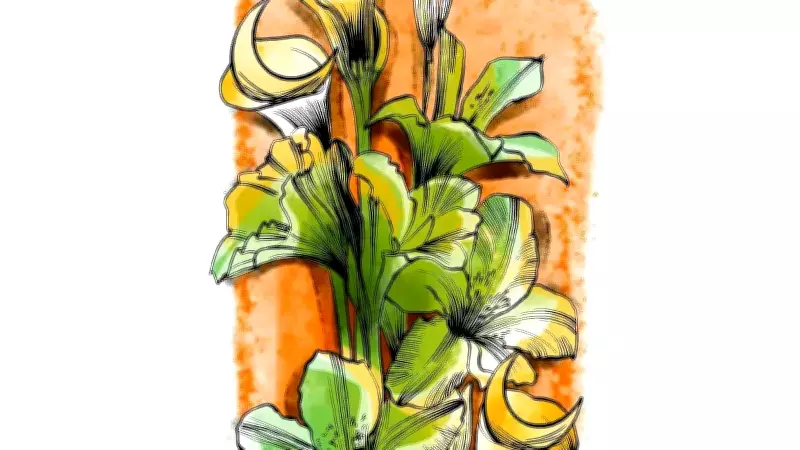 Ramazan Ayına Girerken: Maneviyat, Bereket ve Toplumsal Dayanışma Zamanı