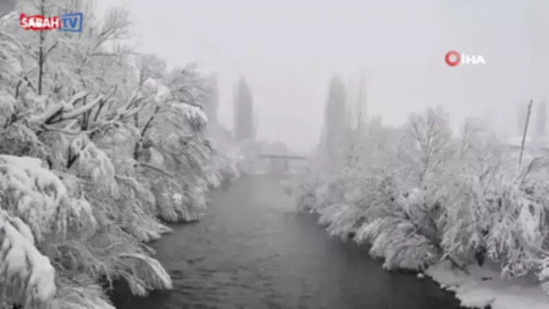 Şırnak'ta Kar Yağışı Beytüşşebap ve Uludere'yi Beyaza Bürüdü