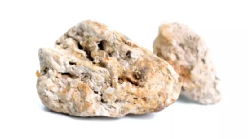 Sahillerdeki Milyarlık Hazine: Balina Kusmuğu Ambergris'in Şaşırtan Değeri