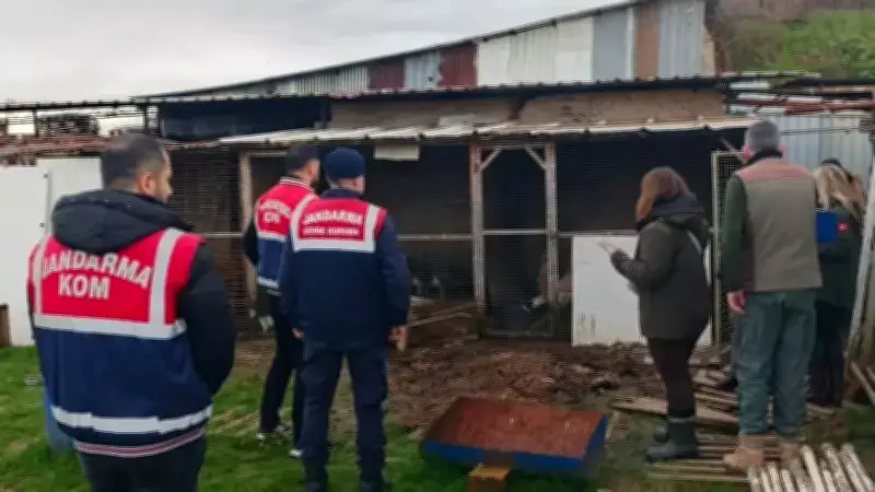 Sakarya'da Hayvan Kaçakçılığı Operasyonu: 45 Kuş ve Kuluçka Makineleri Ele Geçirildi