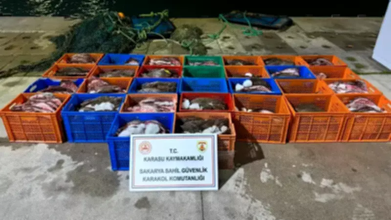 Sakarya'da Kaçak Getirilen 300 Kalkan Balığı Ele Geçirildi, Piyasa Değeri 3 Milyon TL