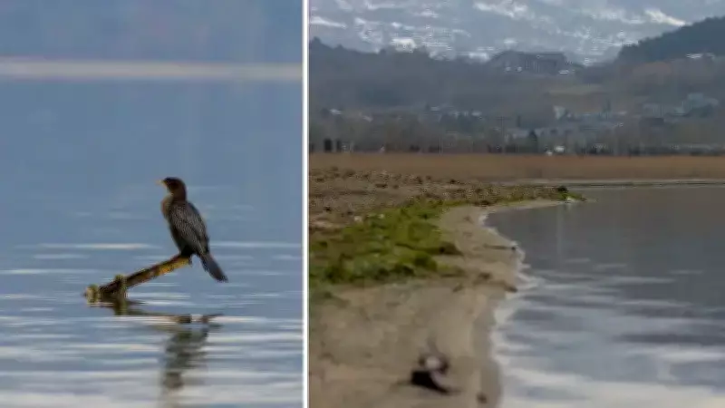 Sakarya'da Sapanca Gölü'ne Su Takviyesi Projesi Hayata Geçti