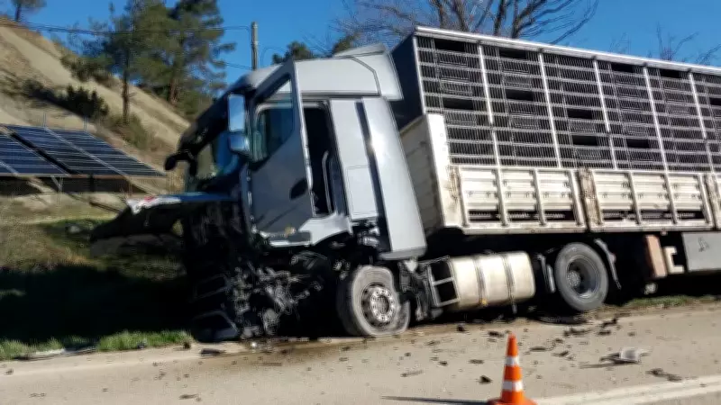 Sakarya'da TIR ile Otomobil Çarpıştı: Sürücü Kurtarılamadı