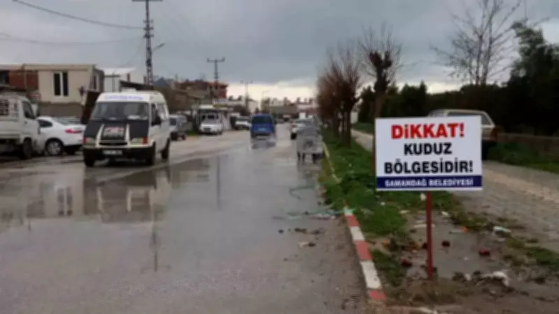 Samandağ'da Kuduz Panığı: Dört Mahalle Karantinaya Alındı, Aşılama Başlatıldı