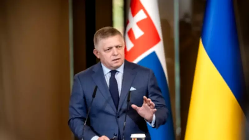 Slovakya, Ukrayna'ya Elektrik Tedarikini Karşılıklılık İlkesiyle Durdurdu