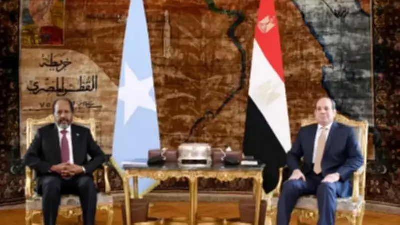 Somali Cumhurbaşkanı Mahmud, İsrail'in Somaliland Kararını Kınadı ve Askeri Üs İhtimaline Karşı Çıktı