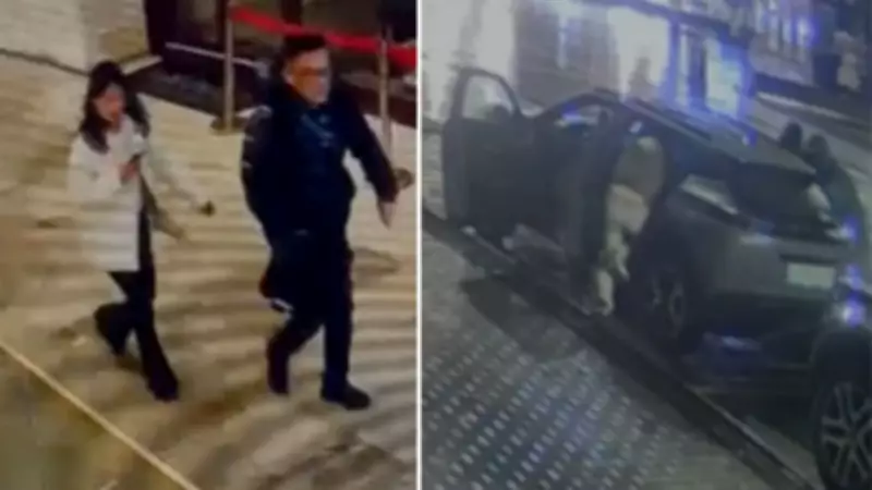 İstanbul'da Kan Donduran Cinayet: Çinli İş İnsanı Kadın Tuzağıyla Kaçırılıp Dik Gömüldü