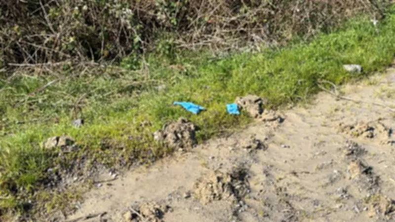 İstanbul'da Korkunç Cinayet: Çinli İş İnsanı Toprağa Gömülü Bulundu