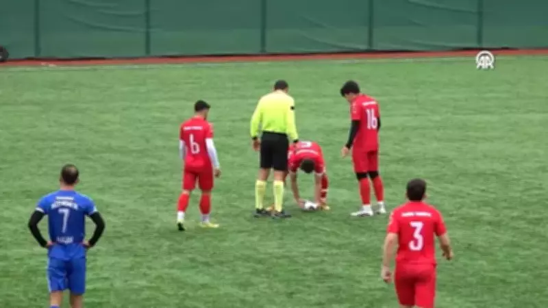 İstanbul'da Topun Çarptığı Martı, Kalp Masajıyla Hayata Döndürüldü